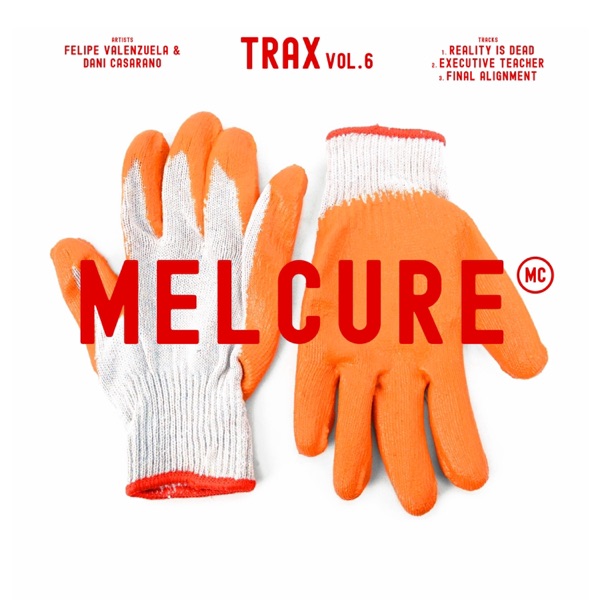 Trax Vol.6 - Single