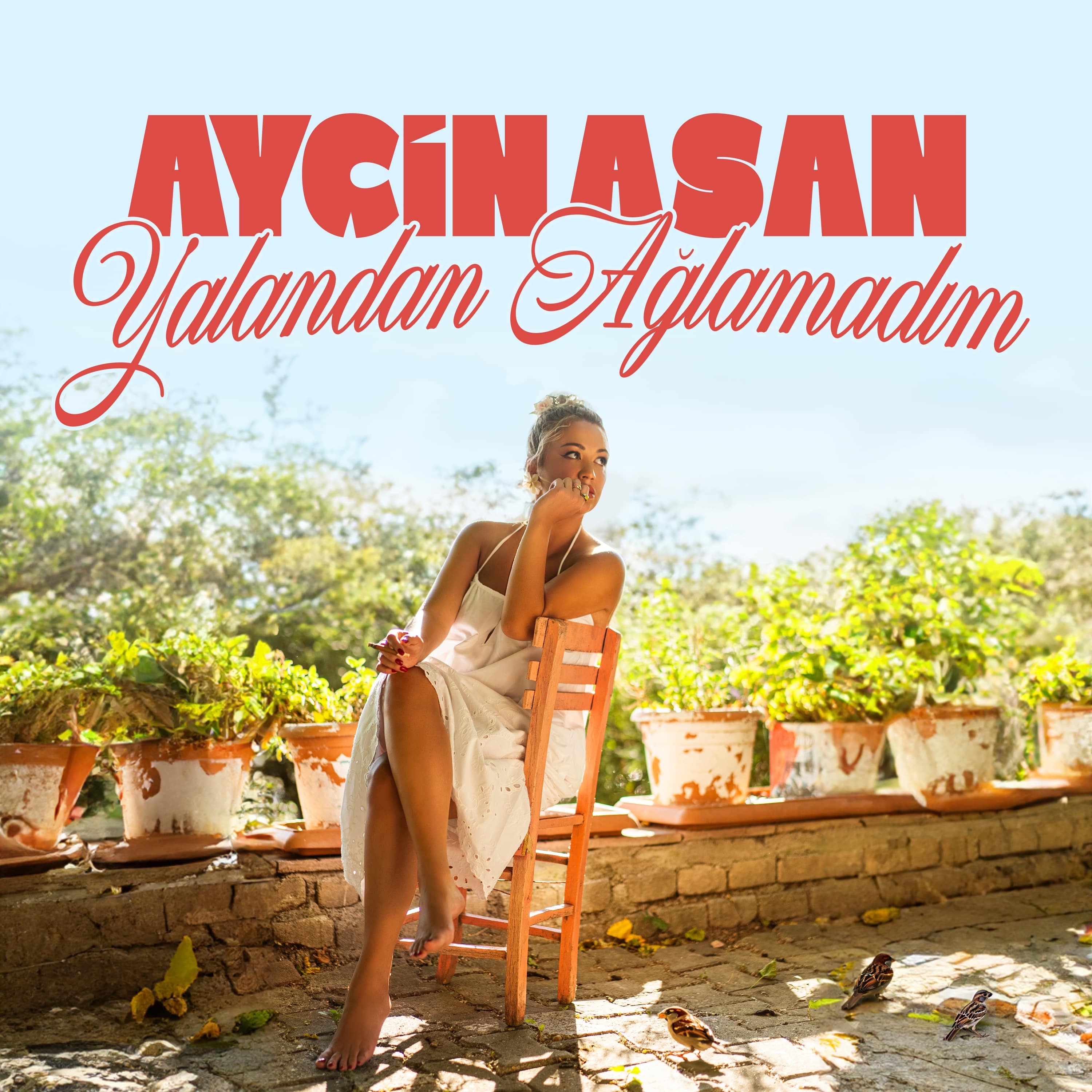 Yalandan Ağlamadım - Single
