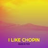 I Like Chopin - Mauro De Pieri
