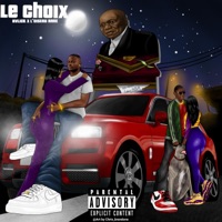 Le Choix (feat. L'Oiseau Rare) - Single - Nvlick