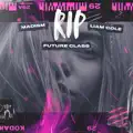 Rip