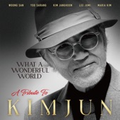 What a Wonderful World - A Tribute to Kim Jun artwork