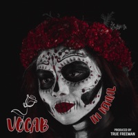 In Denial (feat. True Freeman) - Single - V0cab