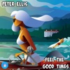 Feel the Good Times cover art