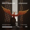 Drop It Down Low - Single