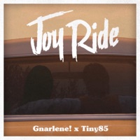 Joy Ride (feat. Gnarlene!) - Single - Flexshomaru