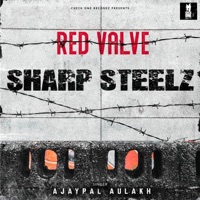 Sharp Steelz (feat. Ajaypal Aulakh) - Single - Red Valve