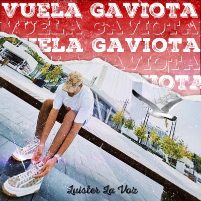 Luister La Voz - Vuela Gaviota (Solo)