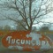 Tucumcari artwork