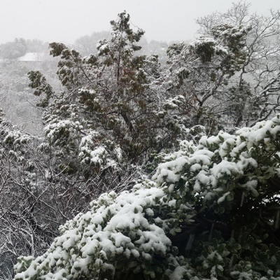 Christmas Dinosaurs (feat. Jon Worthy) - Single