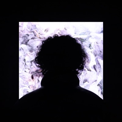 BENİM İÇİN ÖL (feat. MAY15) - Single