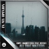 All That Matters (Instrumental Mix) artwork