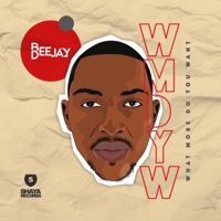 What More Do You Want (feat. Mshayi & Mr Thela) - Single - Bee Deejay