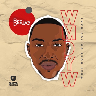 What More Do You Want (feat. Mshayi & Mr Thela) - Single