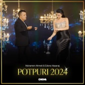 Potpuri 2024 artwork