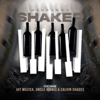SHAKER (feat. UNCLE BINNI3, Calvin Shades & JayMuzica) - Single - Hauzendj
