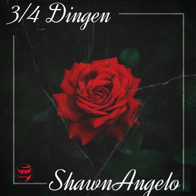 3/4 Dingen (Radio Edit) - Single
