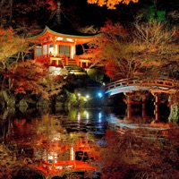 leavin scene (feat. JKJMETASCO) - Single - 9smjay