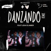 Danzando (feat. Lidia & Jamer) [Remix] artwork