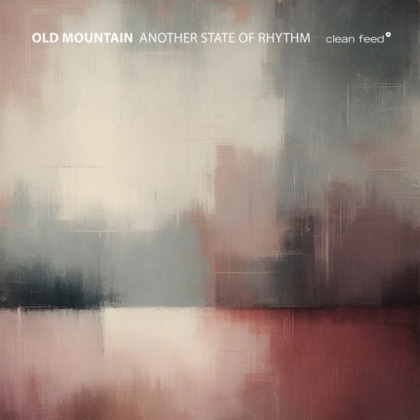 Another State of Rhythm (feat. Joao Hasselberg, Hernani Faustino & Tony Malaby)