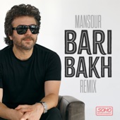 Bari Bakh (Remix) artwork