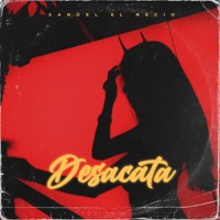 Desacata - Single - Sandel El Necio