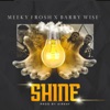 Shine (feat. Barrywise) - Single