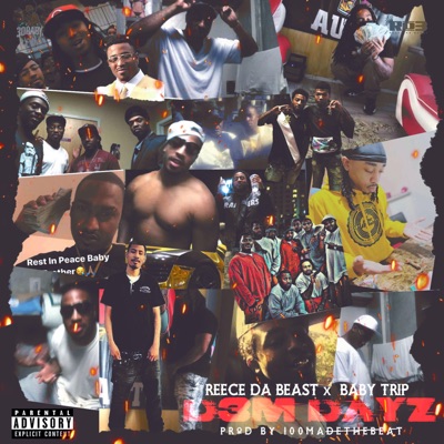 D3m Dayz (feat. Baby Trip) - Single