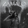 Zamalo (feat. Meta) - Single