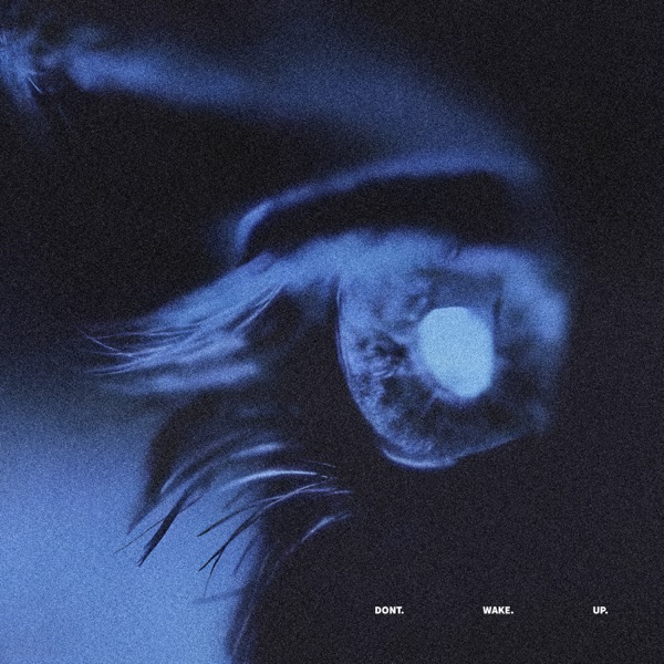 Don't Wake Up - Single