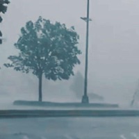 Slow Rain II (feat. thelilbird) - Single - Idaho Panic