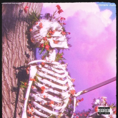 CONNECTION (feat. TWOPINN) - Single