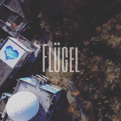 Flügel - Single