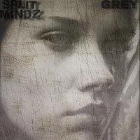 Grey - Single - SPLIT MINDZ