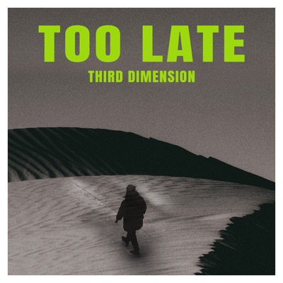 Too Late - Single