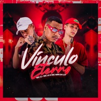 Vinculo Eterno - Single - MC CJ, MC NIM DA CS & MC LK OFICIAL