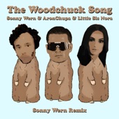 The Woodchuck Song (Sonny Wern Remix) artwork