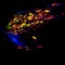 Epoxy - AFM11 lyrics