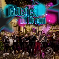 Muzică nu te opri (feat. Vali Vijelie & Roson Music Band) - Single - Baboiash