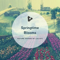 Springtime Blooms - Nature Sounds by Lullify & Nature Sounds for Relaxation and Sleep