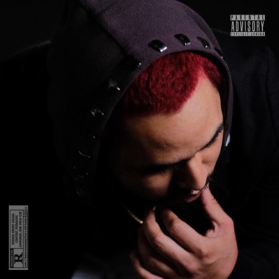 Are U Okay? (Gettin High) - Single