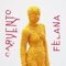 Me como tu bordillo - Carvento Felana lyrics