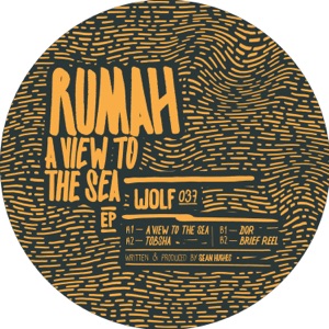 A View to the Sea - EP