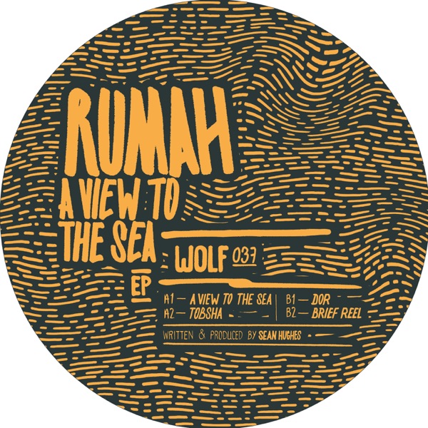 A View to the Sea - EP