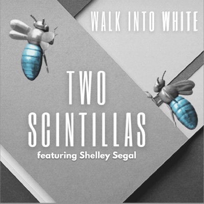 Walk Into White (feat. Shelley Segal) - Single