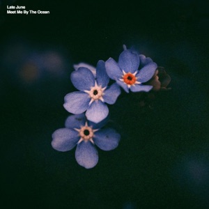 Meet Me By The Ocean - Single
