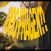 1000 FRAGEN - Single - Vilam, scheezy & phillson