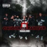 Chicos De Parque (feat. JART) - Single - RaulMC