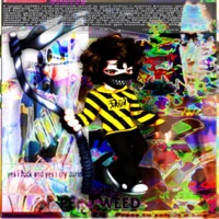 495 Is All Its Ever Been - EP - Scale$