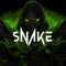 Snake - Drilland lyrics